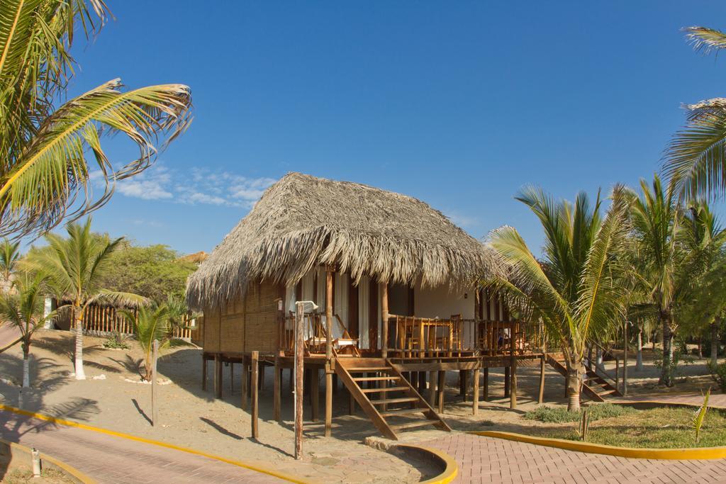 & Carpas By Aranwa Vichayito